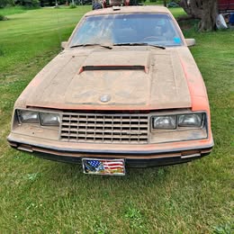 1979 Ford Mustang Cobra Hatchback 2D