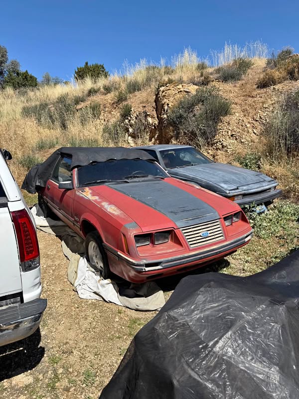 1986 Ford Mustang - Cobra Hatchback 2D