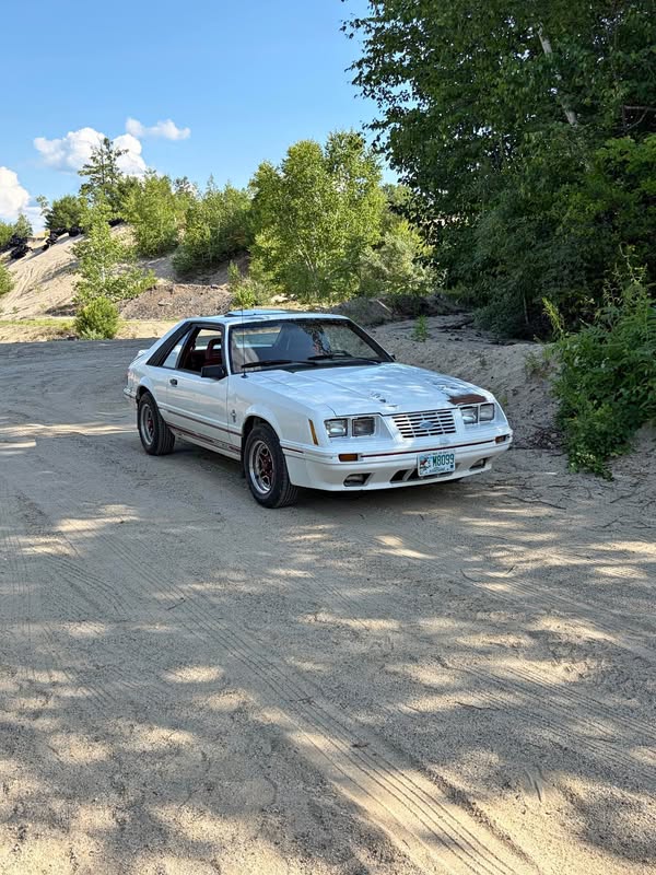 1984 Ford Mustang - Gt 350