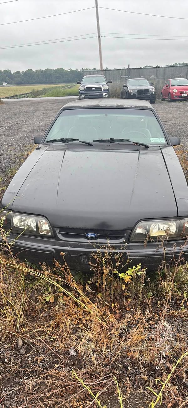 1990 Ford Mustang - LX 5.0 Liter Coupe 2D