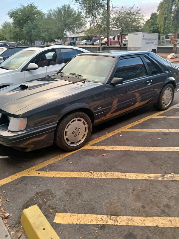 1984 Ford Mustang - Cobra Hatchback 2D