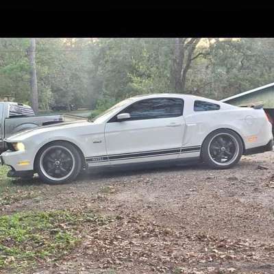 2012 Ford Mustang - Boss 302 Coupe 2D