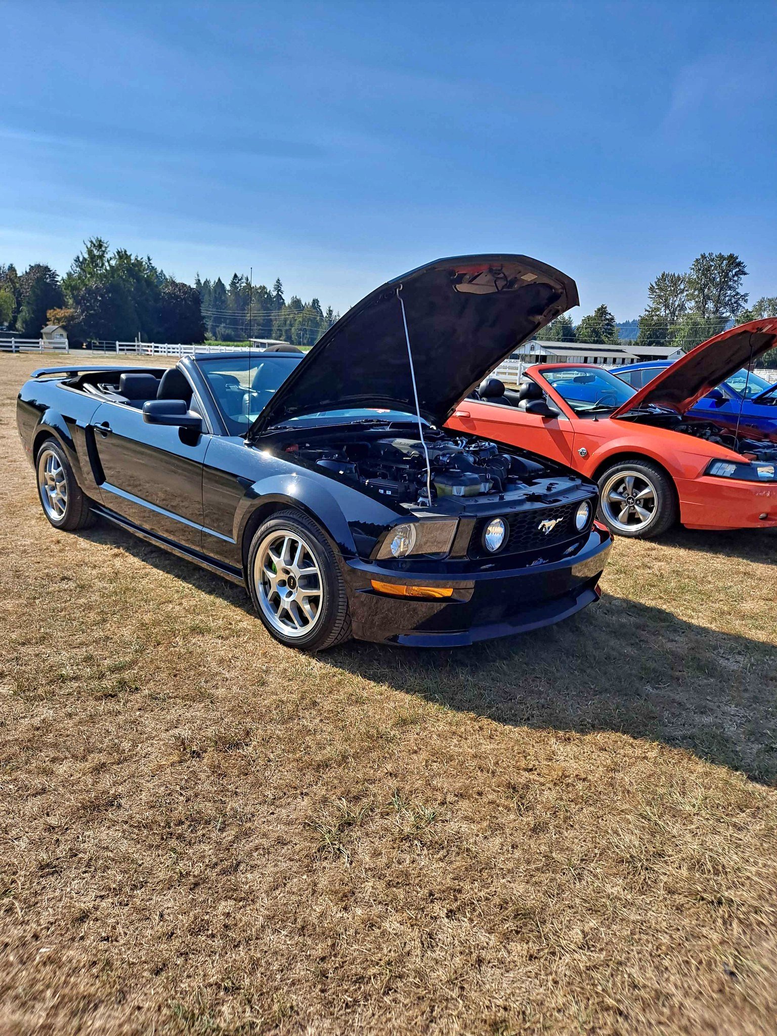 2009 Ford Mustang - GT Convertible 2D