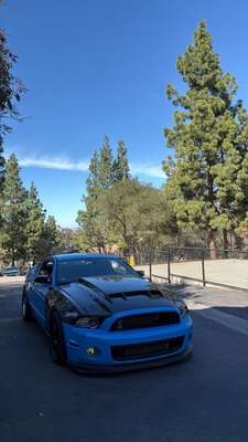 2011 Ford Mustang SHELBY GT500