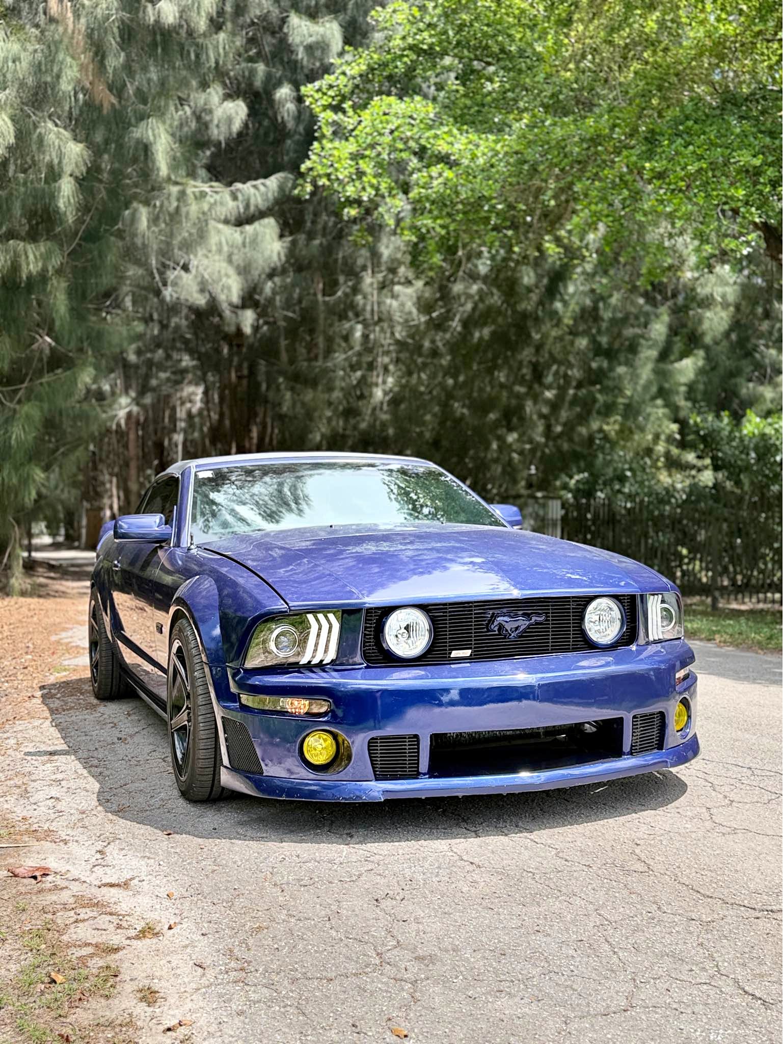 2005 Ford Mustang - GT Premium Convertible 2D