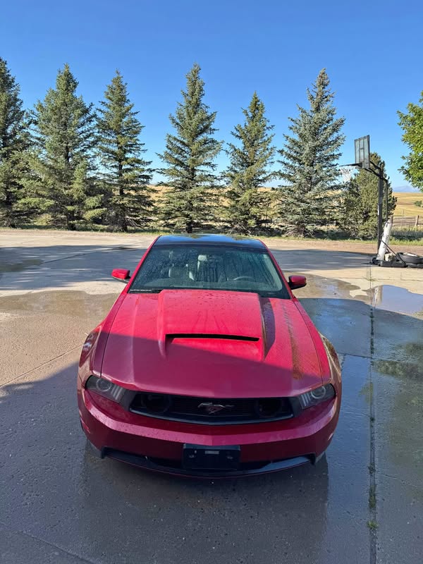2011 Ford Mustang - Gt premium