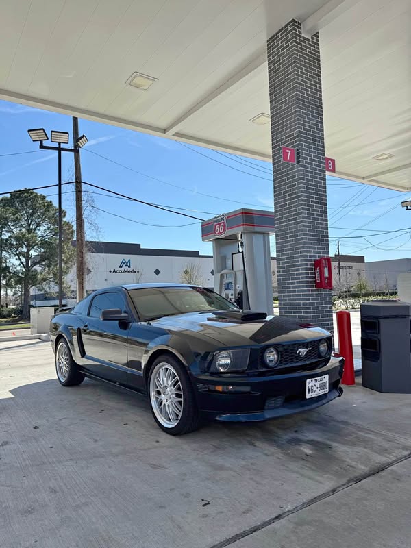 2008 Ford Mustang - Gt California Special - Manual