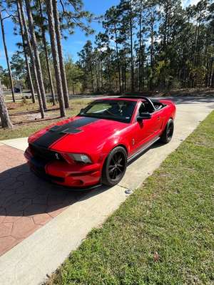 2008 Ford Mustang SHELBY GT500