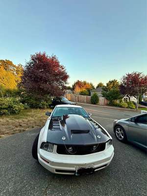 2007 Ford Mustang - Deluxe Coupe 2D