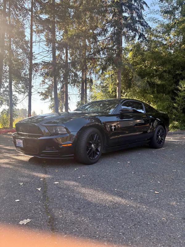 2013 Ford Mustang - V6 Premium Coupe 2D