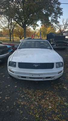 2006 Ford Mustang - Convertible 2D