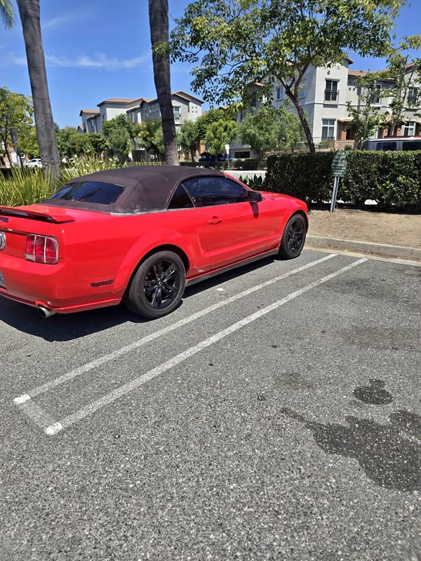 2005 Ford Mustang - Convertible 2D