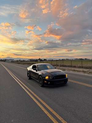 2012 Ford Mustang - Shelby GT500 Coupe 2D