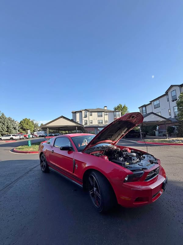 2010 Ford Mustang - V6 Coupe 2D