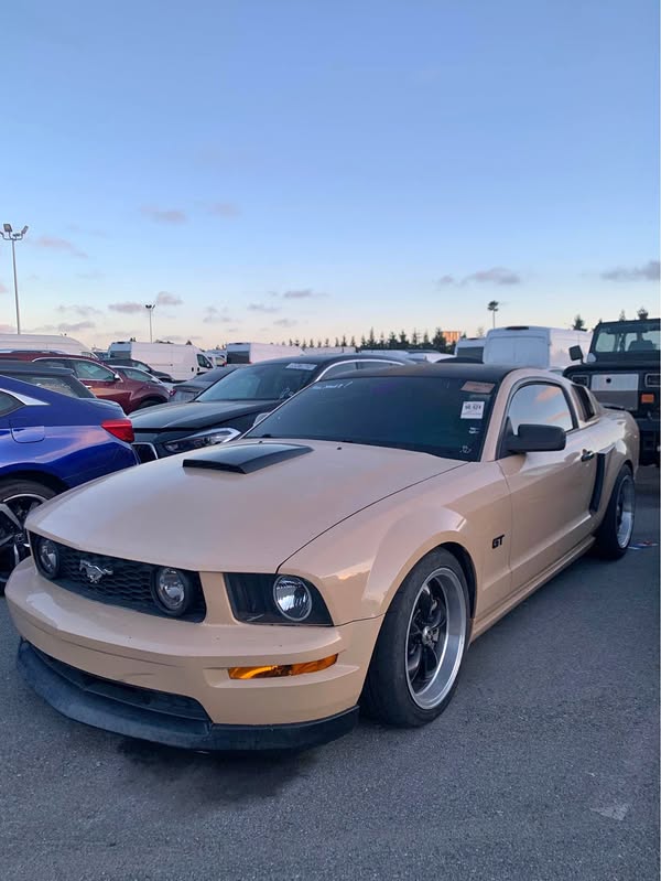 2007 Ford Mustang - GT Coupe 2D