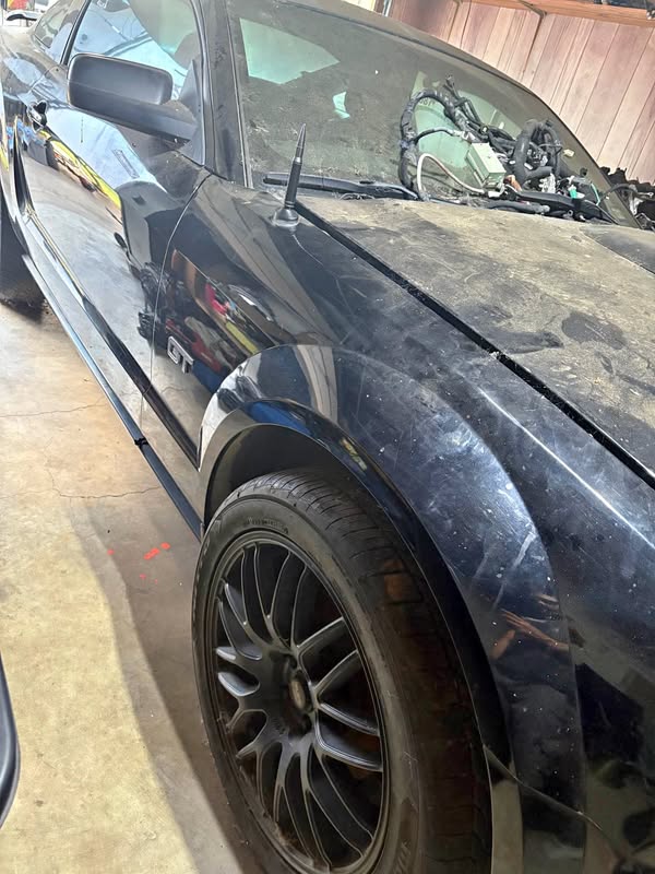 2008 Ford Mustang - GT Coupe 2D