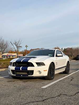 2014 Ford Mustang  - Shelby GT 500