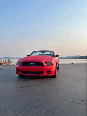 2013 Ford Mustang - Convertible 2D