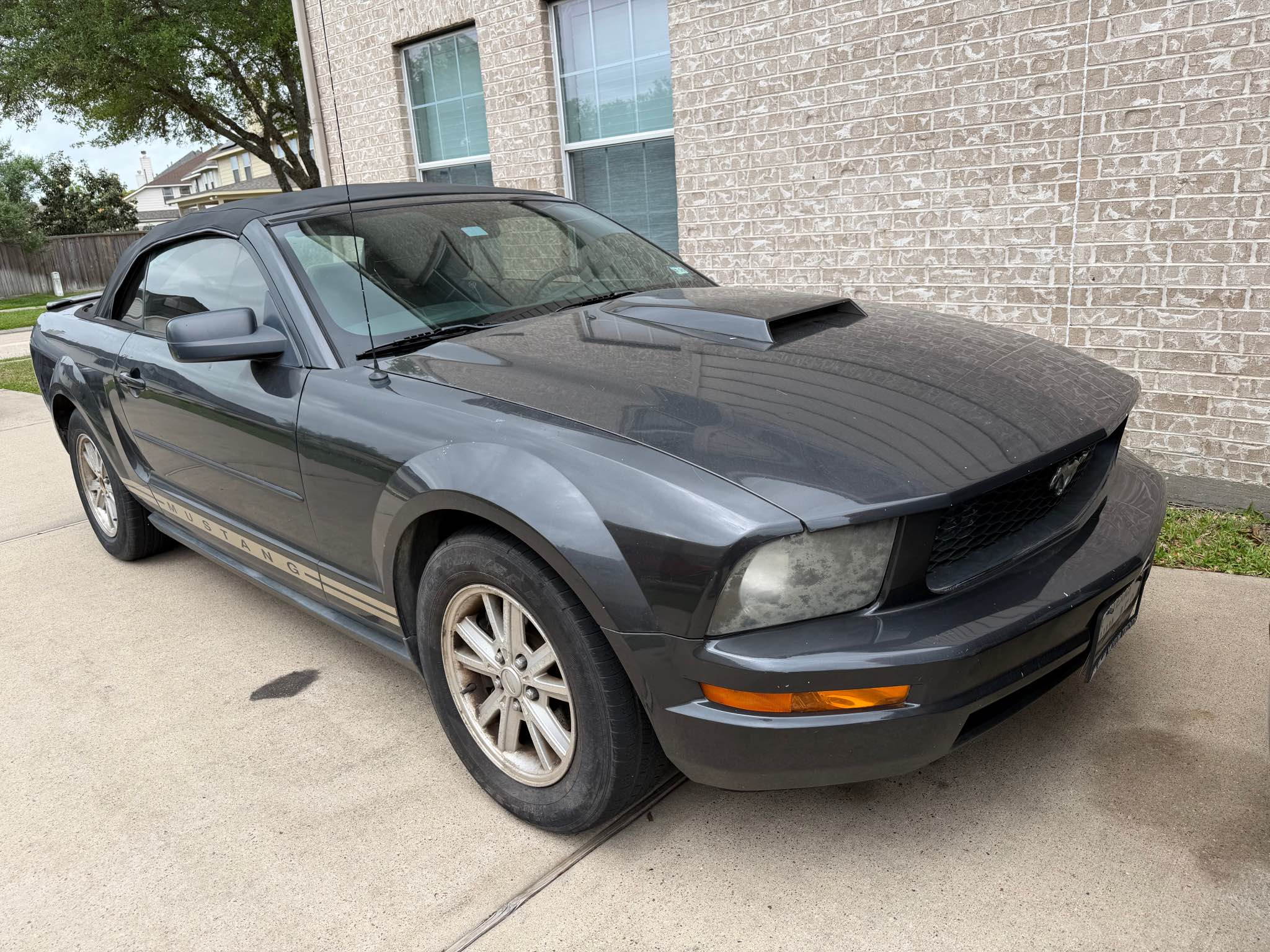2008 Ford Mustang - Deluxe Convertible 2D