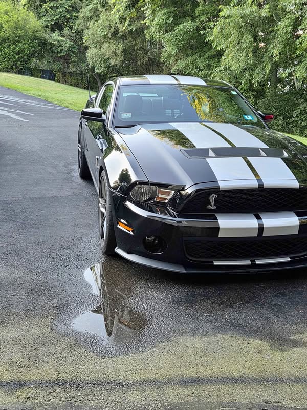 2010 Ford Mustang - Shelby GT500 Coupe 2D