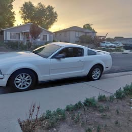 2005 ford mustang