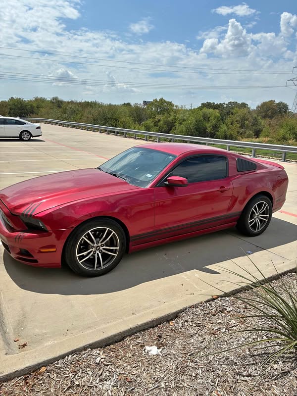 2013 Ford Mustang - V6 Coupe 2D