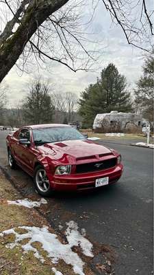 2006 Ford Mustang - V6 Coupe 2D