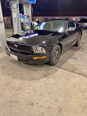 2005 Ford Mustang - V6 Coupe 2D