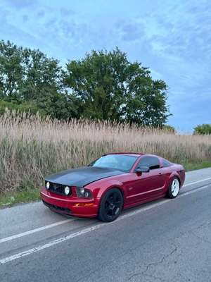 2004 Ford Mustang - V6 Coupe 2D