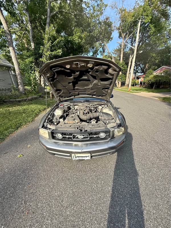 2009 Ford Mustang - Deluxe Convertible 2D