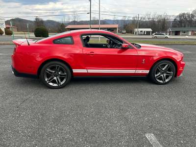 2010 Ford Mustang SHELBY GT500