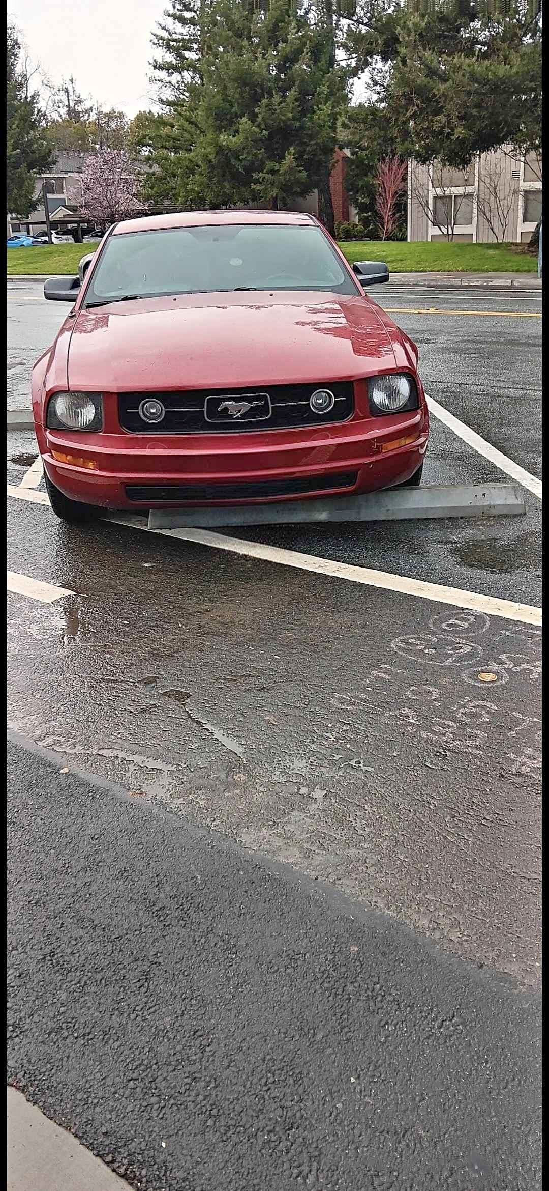 2008 Ford Mustang - V6 Premium Coupe 2D