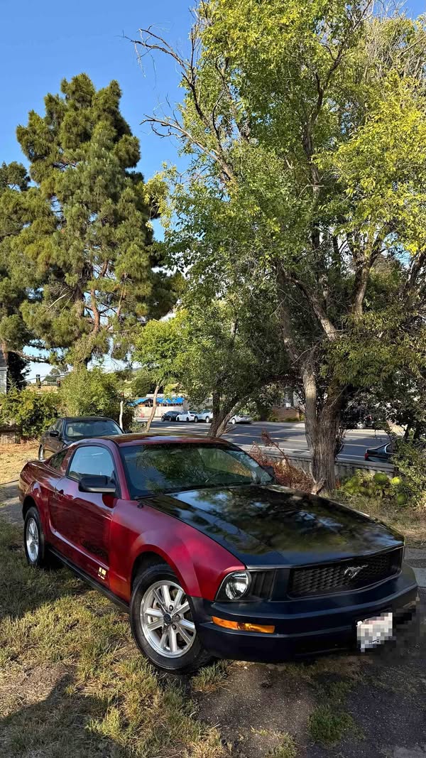 2005 Ford Mustang - Deluxe Coupe 2D