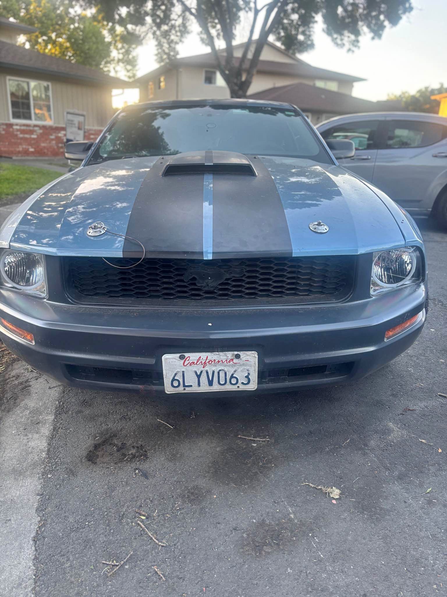 2008 Ford Mustang - Shelby GT500 Coupe 2D