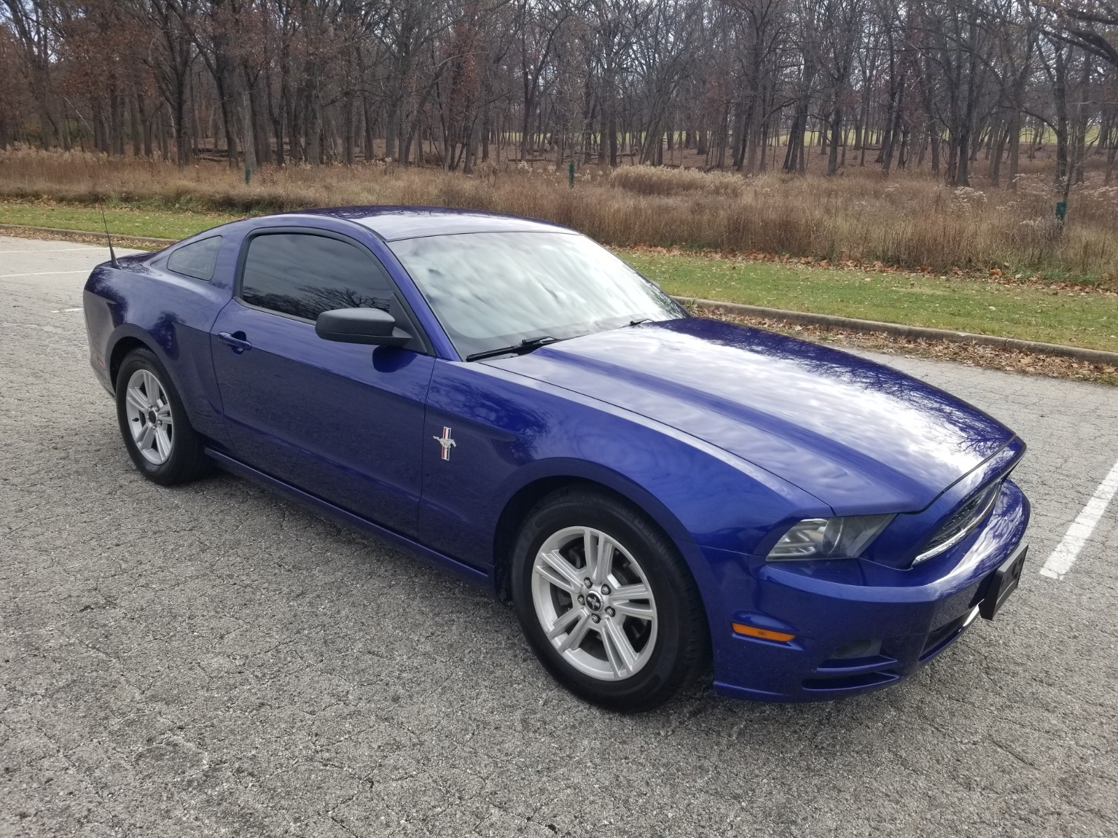 2013 Ford Mustang