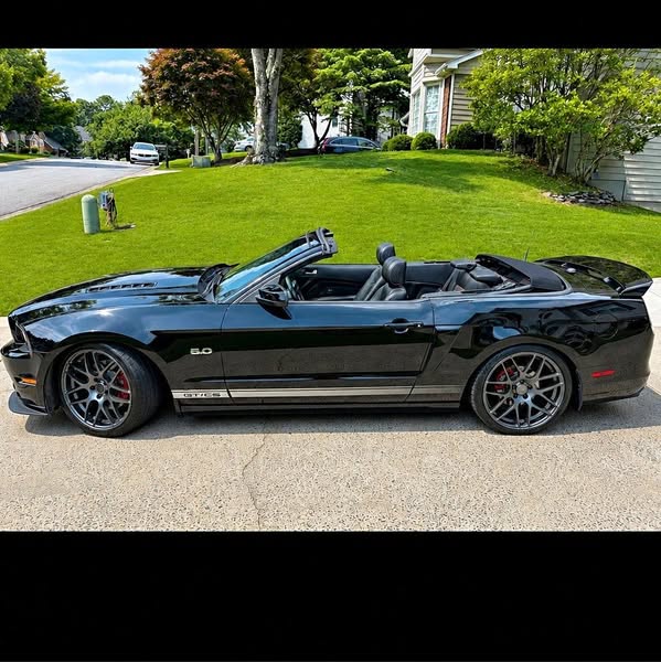 2014 Ford Mustang GT \/ CS - California Special
