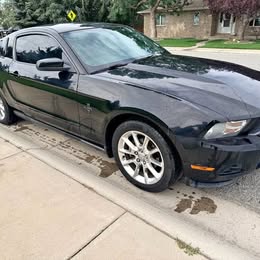 2010 Ford Mustang V6 Base