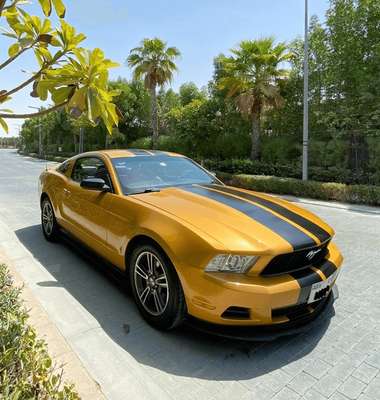 2010 Ford Mustang 2010 FORD MUSTANG /LIMITED EDITION