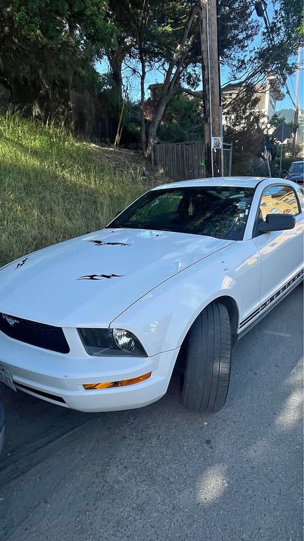 2005 Ford Mustang - Coupe 2D