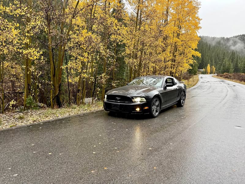 2013 Ford Mustang - V6 Coupe 2D