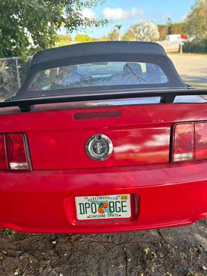 2006 Ford Mustang - 5.0