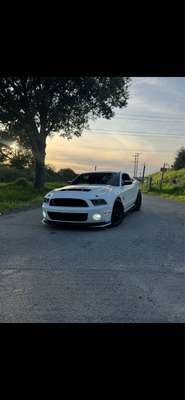 2013 Ford Mustang - Shelby GT500 Coupe 2D