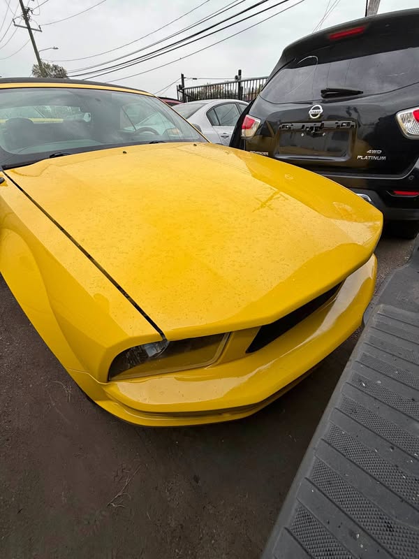 2005 Ford Mustang - V6 Premium Coupe 2D