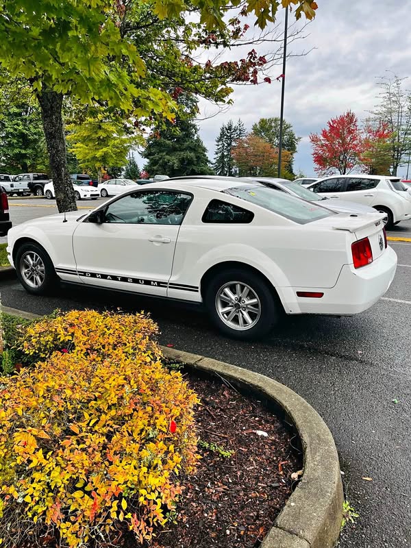 2008 Ford Mustang - Deluxe Coupe 2D