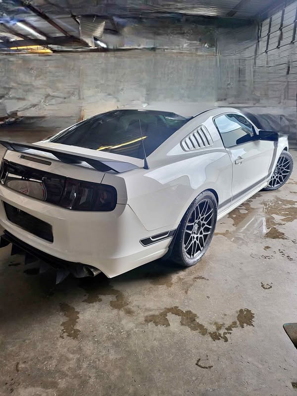 2013 Ford Mustang - Boss 302 Coupe 2D