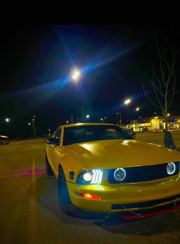 2007 Ford Mustang - V6 Coupe 2D