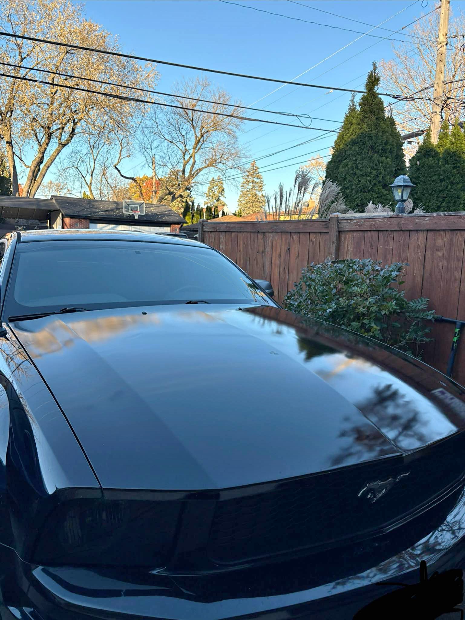 2006 Ford Mustang - V6 Coupe 2D