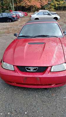 2006 Ford Mustang - LX Convertible 2D