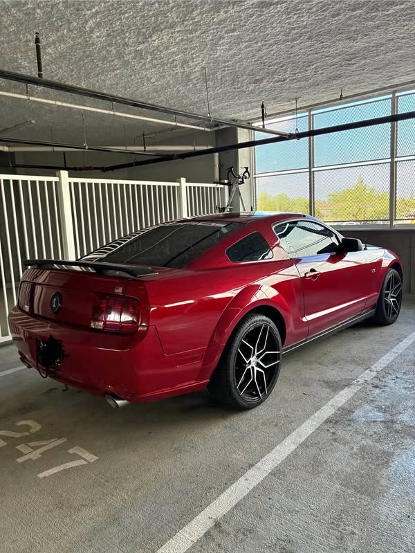 2007 Ford Mustang - Cobra Coupe 2D