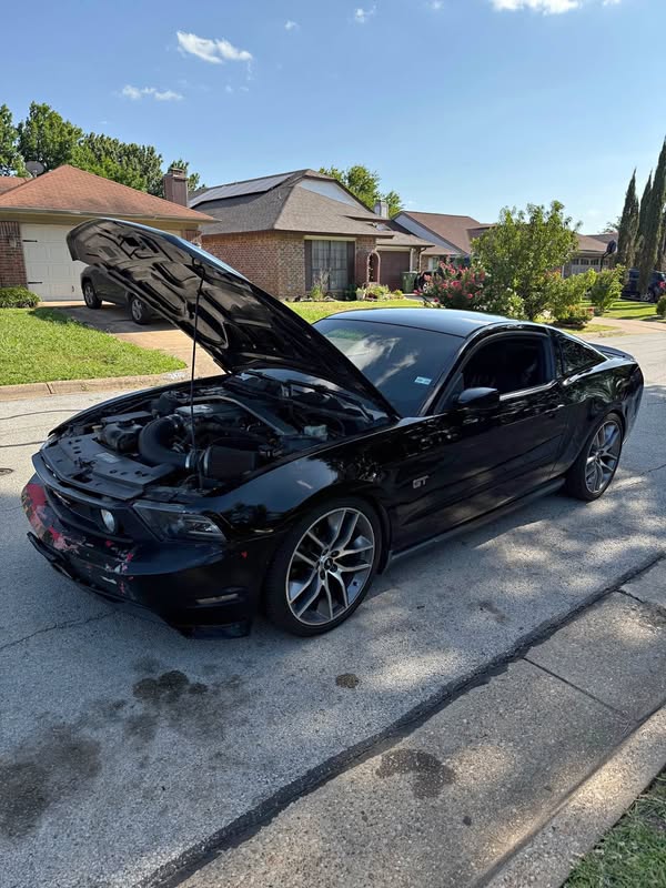 2010 Ford Mustang - GT